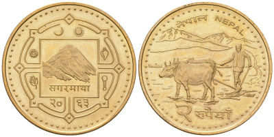 Непал 2 рупии 2006 BS 2063, Гьянендра Бир Бикрам (2001-2008) KM 1188 сталь плакированная латунью UNC 4589-826